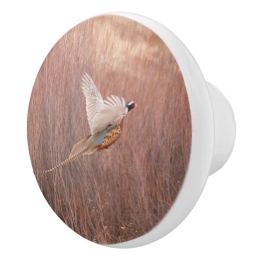 Ring-hals fazant aangepaste keramische knop (Rechts)