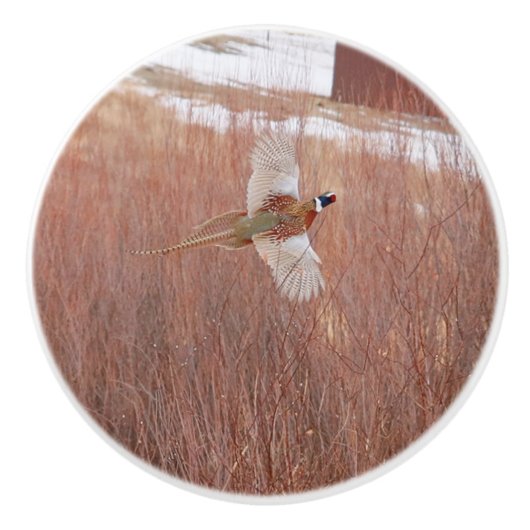 Ring-hals fazant aangepaste keramische knop (Voorkant)