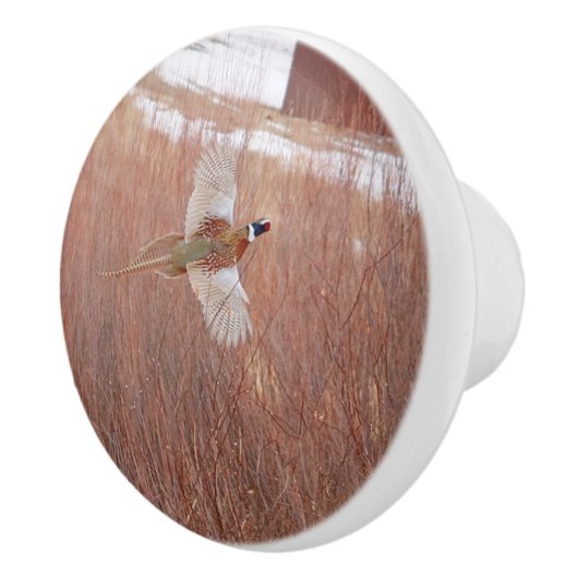 Ring-hals fazant aangepaste keramische knop (Rechts)