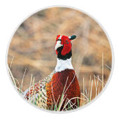 Ring-hals fazant aangepaste keramische knop (Voorkant)