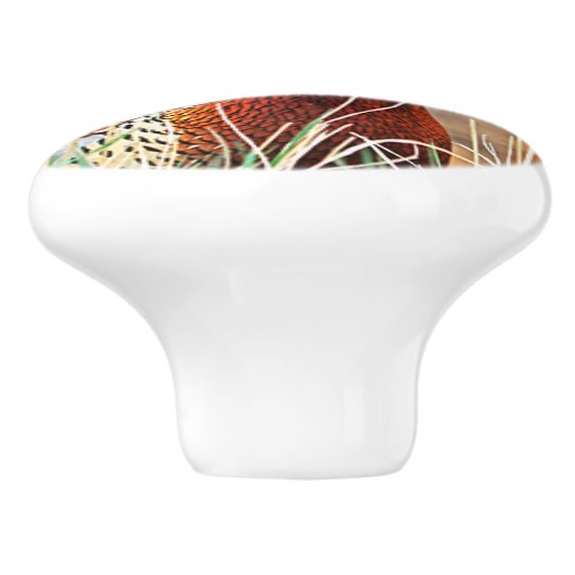 Ring-hals fazant aangepaste keramische knop (Zijkant)