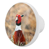 Ring-hals fazant aangepaste keramische knop (Rechts)