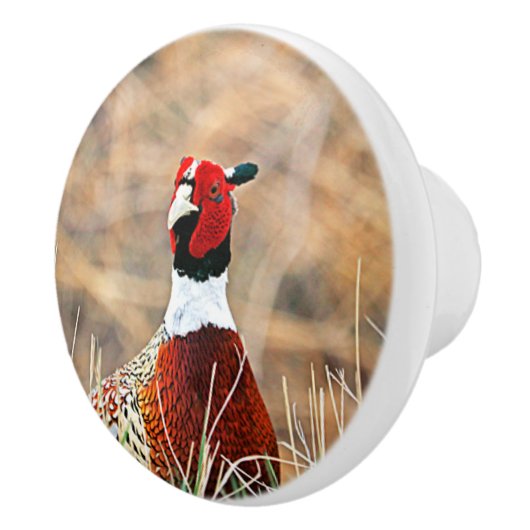 Ring-hals fazant aangepaste keramische knop (Rechts)