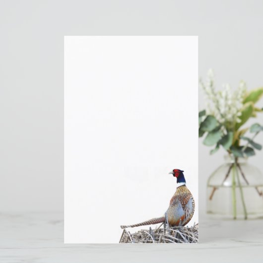 Ring-hals fazant foto briefpapier papier (Staand voorkant)