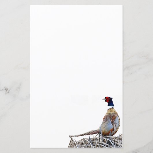 Ring-hals fazant foto briefpapier papier (Voorkant)
