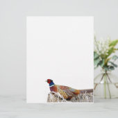 Ring-hals fazant foto briefpapier papier briefhoofd (Staand voorkant)