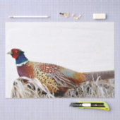Ring-hals fazant foto geschenk weefsel papier (Craft)