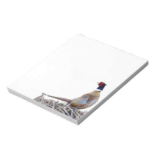 Ring-hals fazant foto notitieblok (Linkerzijde)