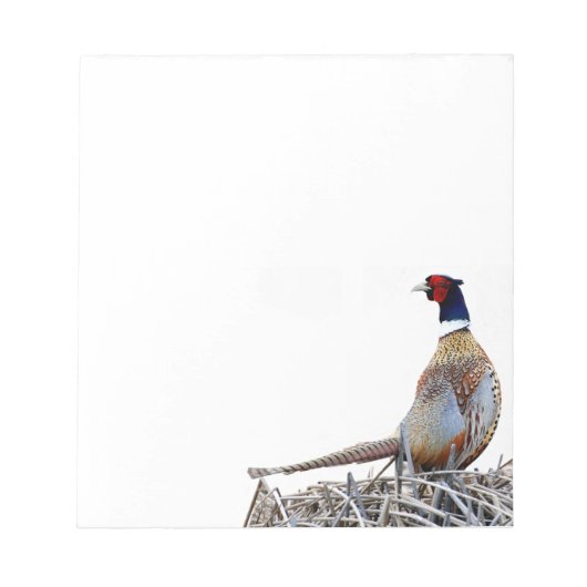 Ring-hals fazant foto notitieblok (Voorkant)