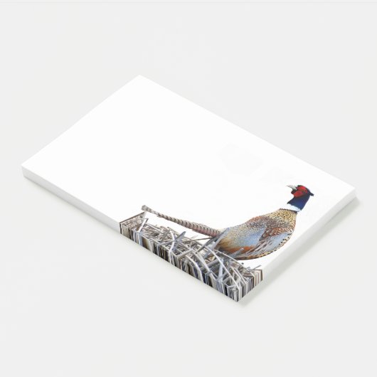 Ring-hals fazant foto Post-it notities Post-it® Notes (Schuin)