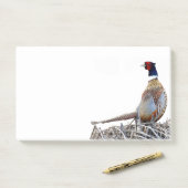 Ring-hals fazant foto Post-it notities Post-it® Notes (Op bureau)