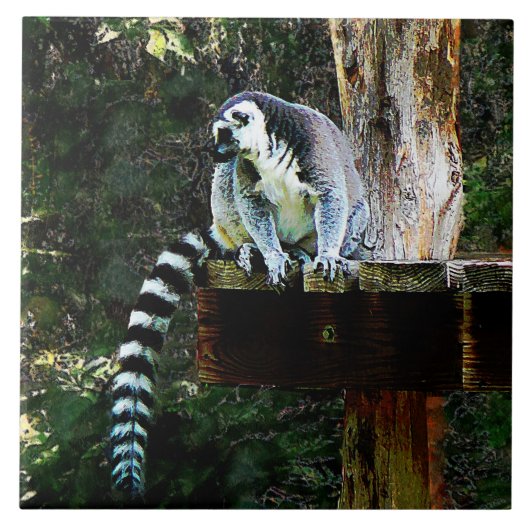 Ring-Knipper Lemur Tegeltje (Voorkant)