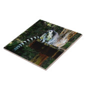 Ring-Knipper Lemur Tegeltje (Zijkant)