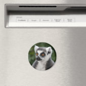 Ring Lemur magneet (Insitu (Vaatwasser))