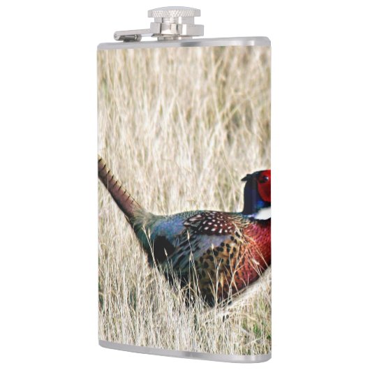 Ring Neck Pheasant in Meadow Heupfles (Links)