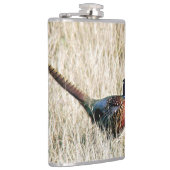 Ring Neck Pheasant in Meadow Heupfles (Rechts)
