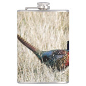 Ring Neck Pheasant in Meadow Heupfles (Voorkant)