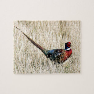 Ring Neck Pheasant in Meadow Legpuzzel