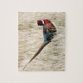 Ring Neck Pheasant in Meadow Legpuzzel