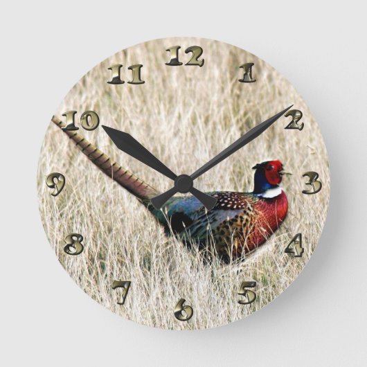 Ring Neck Pheasant in Meadow Ronde Klok (Voorkant)