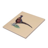 Ring Neck Pheasant Tan Tegeltje (Zijkant)