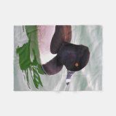 Ring Necked Duck Fleece Deken (Voorkant (Horizontaal))