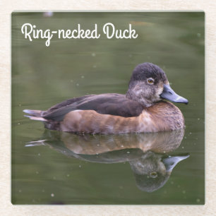 Ring-necked Duck Glazen Onderzetter