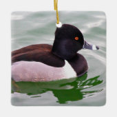 Ring Necked Duck Keramisch Ornament (Voorkant)