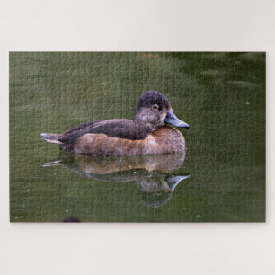 Ring-Necked Duck Legpuzzel