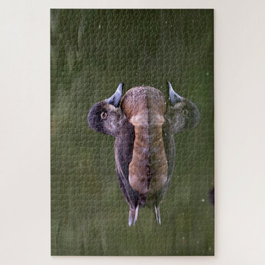Ring-Necked Duck Legpuzzel (Verticaal)