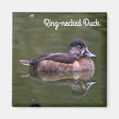 Ring-necked Duck Magneet (Voorkant)