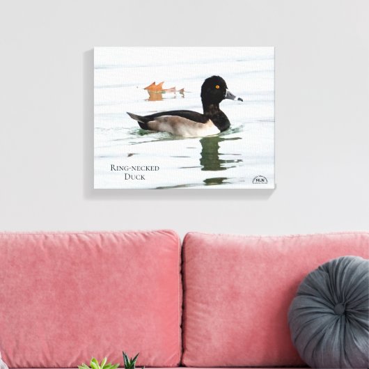 Ring-necked duck male canvas afdruk (Insitu (Woonkamer))