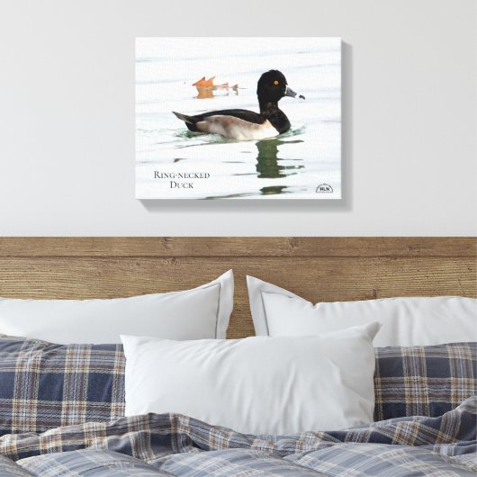 Ring-necked duck male canvas afdruk (Insitu (Slaapkamer))