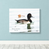 Ring-necked duck male canvas afdruk (Insitu (Houten vloer))