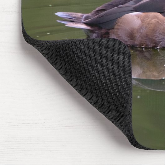 Ring-necked Duck Muismat (Hoek)