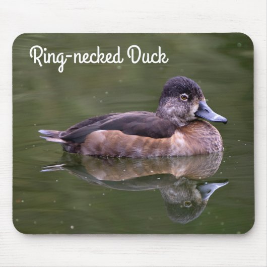 Ring-necked Duck Muismat (Voorkant)