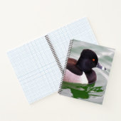 Ring Necked Duck Notitieboek (Binnen)