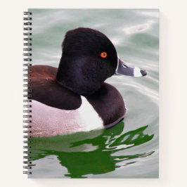 Ring Necked Duck Notitieboek