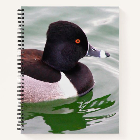 Ring Necked Duck Notitieboek (Voorkant)