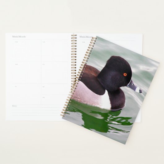 Ring Necked Duck Planner (Display)