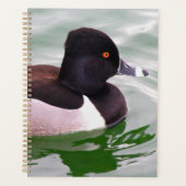 Ring Necked Duck Planner (Voorkant)
