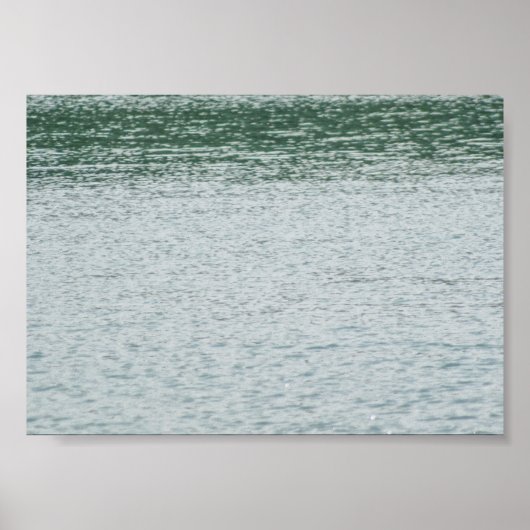 Ring-necked Duck Poster (Voorkant)