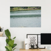 Ring-necked Duck Poster (Thuiskantoor)