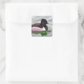 Ring Necked Duck Vierkante Sticker (Tas)