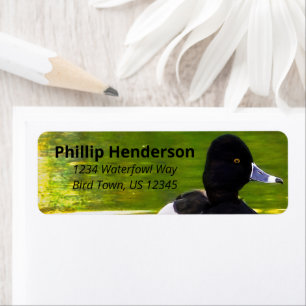 Ring-Necked Ducks Black & White Birds Green Water Etiket