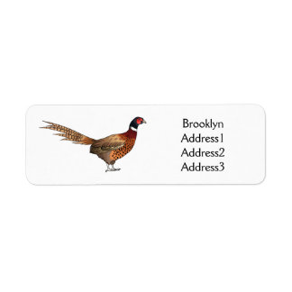 Ring-necked fazant bird cartoon etiket