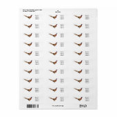 Ring-necked fazant bird cartoon etiket (Full Sheet)
