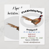 Ring-necked fazant bird cartoon kaart (Voorkant / Achterkant)