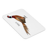 Ring-necked fazant bird cartoon magneet (Rechterzijde)