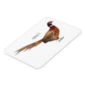 Ring-necked fazant bird cartoon magneet (Linkerzijde)